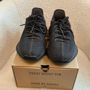 Yeezy boost 350 V2